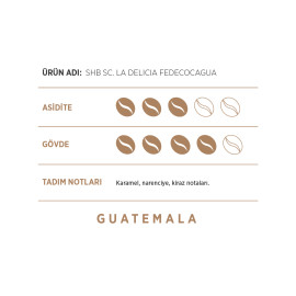FACTORY WHOLESALE FILTER COFFEE GUATEMALA– SHB SC LA DELİCİA FEDECOCAGUA 250G