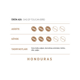 FACTORY WHOLESALE FILTER COFFEE HONDURAS– SHG EP TOUCAN BİRD 250G